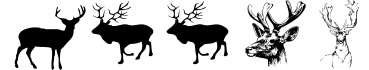 Deers