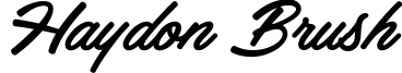 Haydon Brush