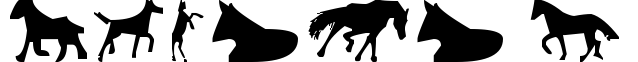 Horses 1