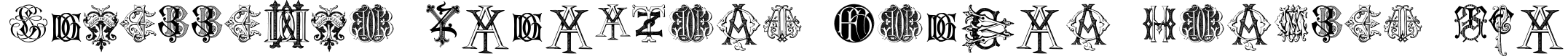 Intellecta Monograms Random Samples Two