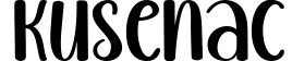Kusenac