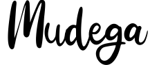 Mudega