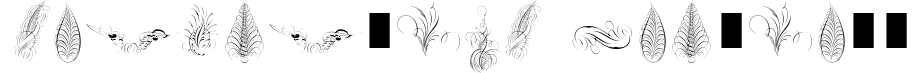 Penmanship Feathers