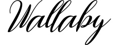 Wallaby