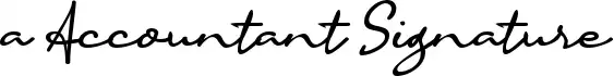 a Accountant Signature