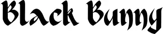 Black Bunny