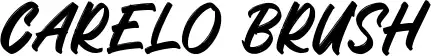 Carelo Brush
