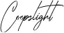 Coopslight