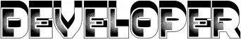 Developer