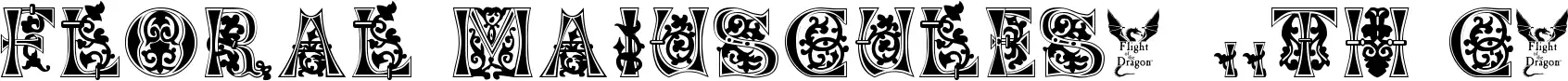 Floral Majuscules, 11th c.