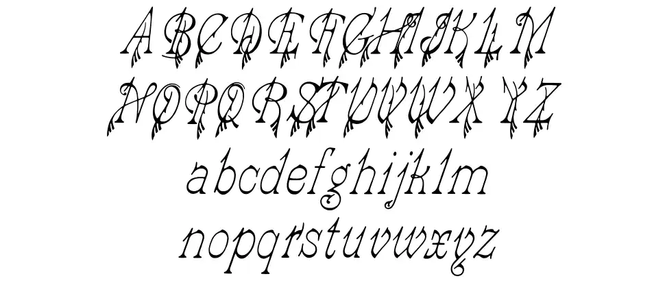 Gazelle (Solotype) Ürün Özellikleri Gazelle (Solotype)font specimens