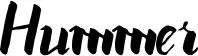 Hummer