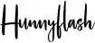 Hunnyflash
