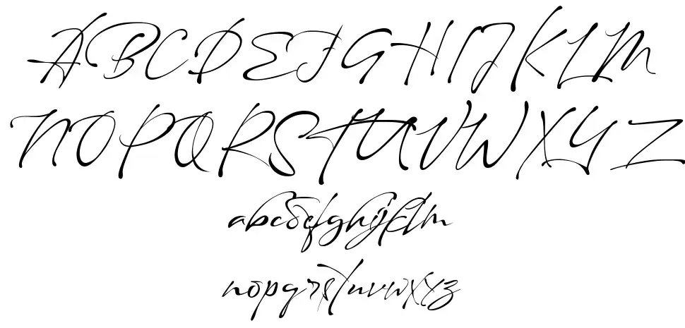 Maestro Signaturefont specimens