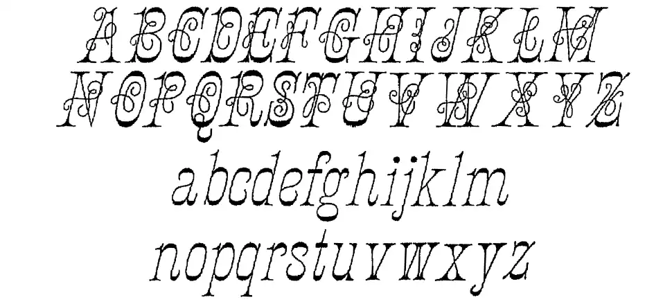 Ornamented, No. 1546 Ürün Özellikleri Ornamented, No. 1546font specimens