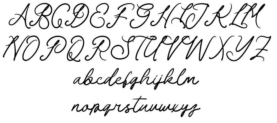 Palm Haven Ürün Özellikleri Palm Havenfont specimens