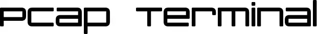PCap Terminal