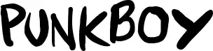 Punkboy