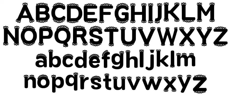 Reenginang Ürün Özellikleri Reenginangfont specimens