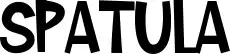 Spatula