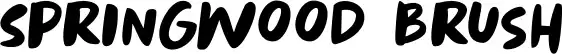 Springwood Brush