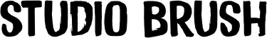 Studio Brush