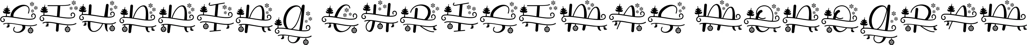 Stunning Christmas Monogram